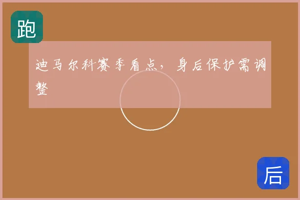 迪马尔科赛季看点,身后保护需调整